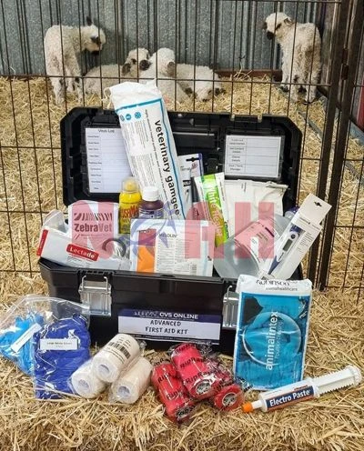 Animales y Veterinaria