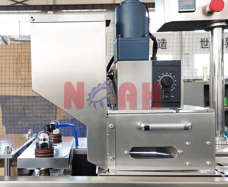 M&aacute;quina empacadora de blister de placa plana DPB-100