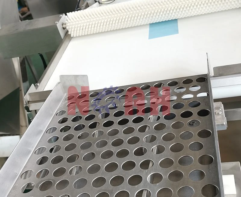 M&aacute;quina autom&aacute;tica de llenado y taponado de tubos para tabletas NTF-600