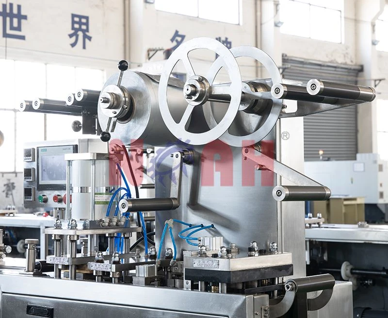 M&aacute;quina empacadora de blister de placa plana DPB-150