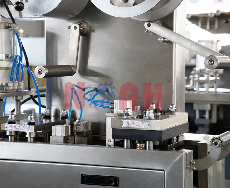 M&aacute;quina empacadora de blister de placa plana DPB-150