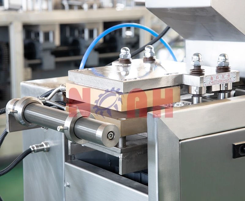 M&aacute;quina empacadora de blister de placa plana DPB-150